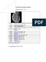 Species Mikro Fosil Phylum Foraminifera Plangtonik