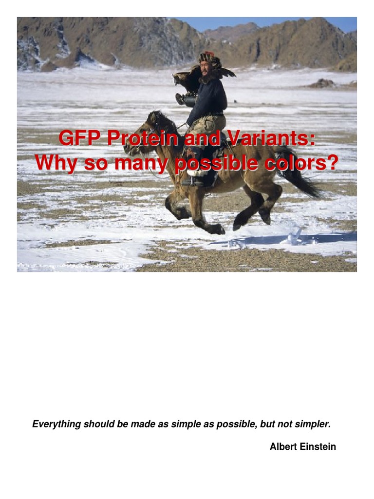 Understanding GFP Protein Variants | PDF