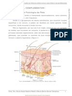 1. Anatomia e Fisiologia da Pele apostila.pdf