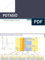 POTASIO