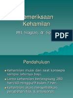 PEMERIKSAAN KEHAMILAN