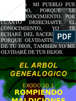 El Arbol Genealogico