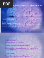 A Neuropsicologia e o Contexto de Atuação