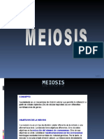Meiosis-2010-I
