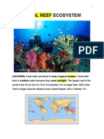 Assignments - Lesson Plan - Coral Reef Article With Resourcesdocx