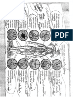 Correspondencia Cuerpo Arquetipo