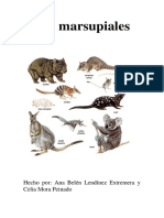 marsupiales pdf.pdf
