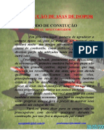 Construção de asas de isopor para aeromodelos