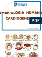 Cardiologia Congenita - CLASE 4