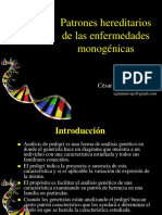 Patrones Hereditarios Monogénicos