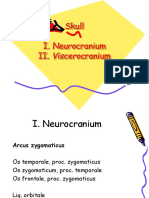 Skull I. Neurocranium II. Viscerocranium