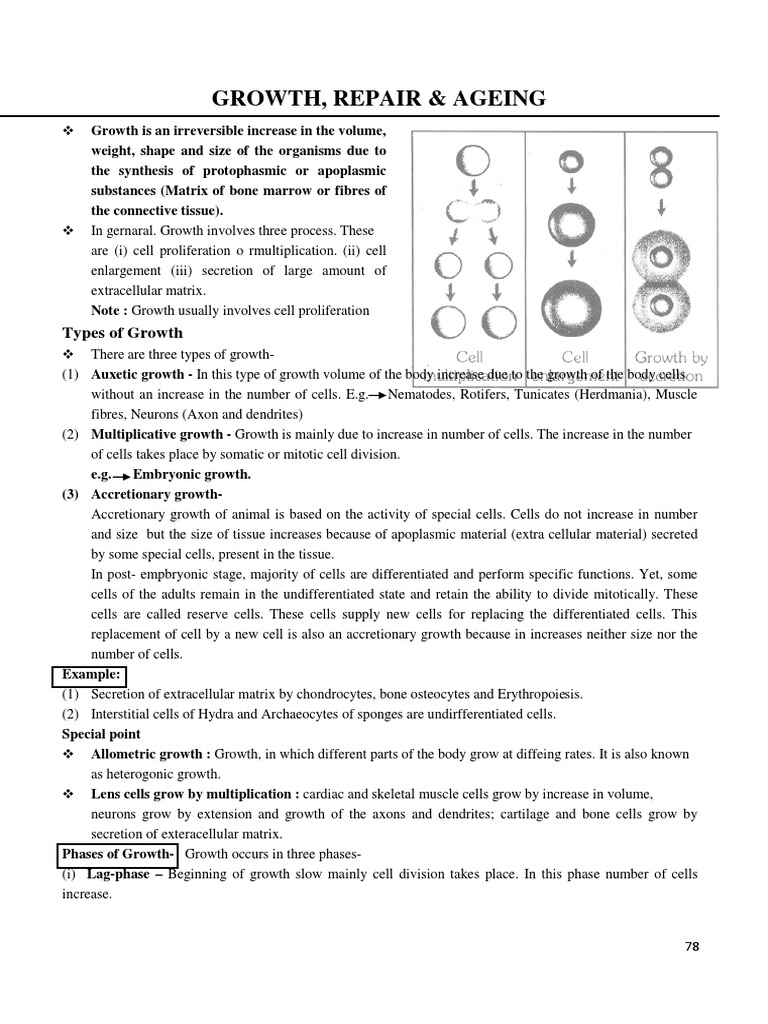 Growth and Regeneration in Organisms | PDF | Regeneration (Biology ...