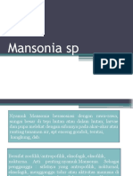 Mansonia SP