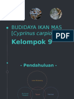 Nandadanu Budidayaikanmas 151217233837