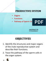 malereproductivesystem-121116191244-phpapp01.pptx