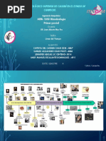 Linea Del Tiempo Microbiologia