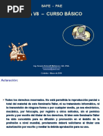HEAM_SAFE-PAE_IDEA V8_Curso Básico_20100329