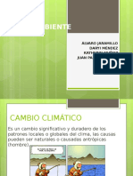 Medio Ambiente