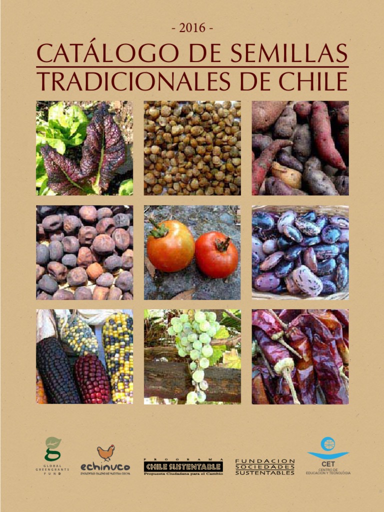 Catalogo de Semillas de Chile 2016  Ajo  Ají picante