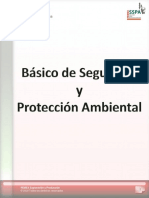 Manual Básico de Seguridad y Protección Ambiental 2010