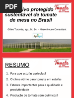 Cultivo Proetegido de Tomate