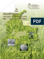 Ecologia_de_microorganismos_rizosfericos_unal.pdf
