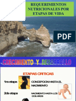 1.-NECESIDADES-NUTRICIONALES-POR-ETAPAS-DE-VIDA (1).ppt