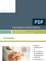 Pancreas Endocrino