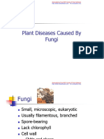 Plant Diseases Caused by Fungi