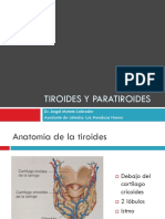 Tiroides y Paratiroides