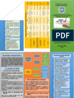 TRIPTICO SOBRE EL SISTEMA REGISTRAL PERUANO