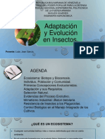 Adaptación y Evolución en Insectos