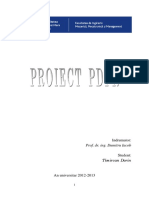 217061790-Proiect-PDPR.docx