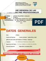 Diapositivas Informe Memoria Leonid