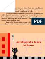 A história de Hermes, o gato bichorro