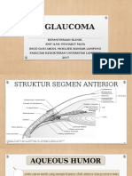 Glaukoma RDT