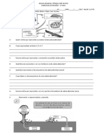 Exercícos de Revisão 6º Ano