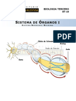 Guía sistema nervioso Neurona.pdf