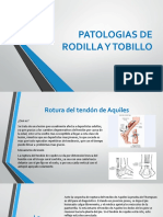Actividad Patologias de Rodilla y Tobillo