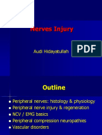 Nerves Injury: Audi Hidayatullah
