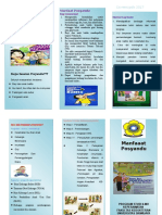 294197037 Leaflet Posyandu