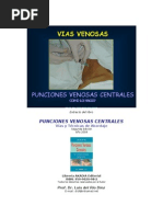 Download Vias Venosas Centrales Tecnicas by LUIS DEL RIO DIEZ SN35069819 doc pdf