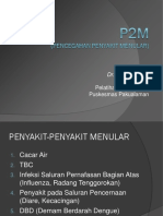 P2M Dokter Kecil 1