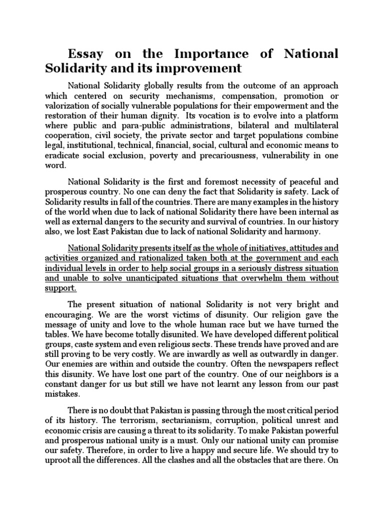 essay about unity and solidarity
