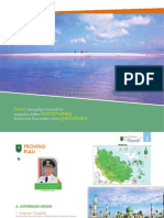Riau Development Plan 2016