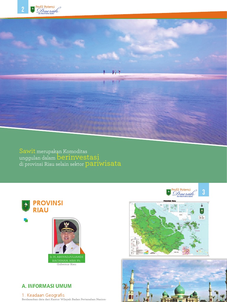 Riau Development Plan 2016 | PDF