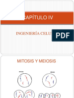 4.1 Mitosis y Meiosis PRISCILA