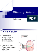 3 Mitosis y Meiosis