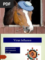 Virales equinosPORCINOS-2016