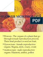 Iia. Flower Morphology